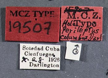 Media type: image;   Entomology 19507 Aspect: labels